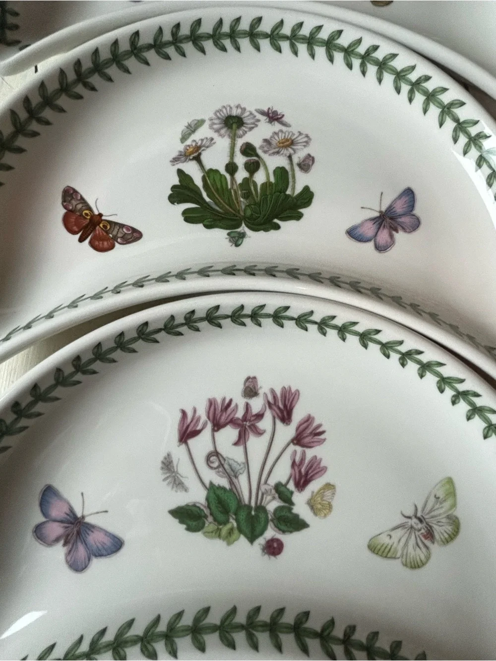 4 PORTMEIRON BOTANIC GARDEN Crescent Salad Plate Floral Butterflies Leaf Rim